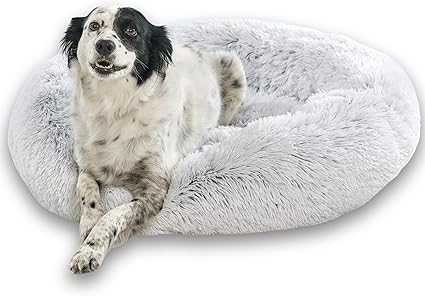 coussin anti stress chien
