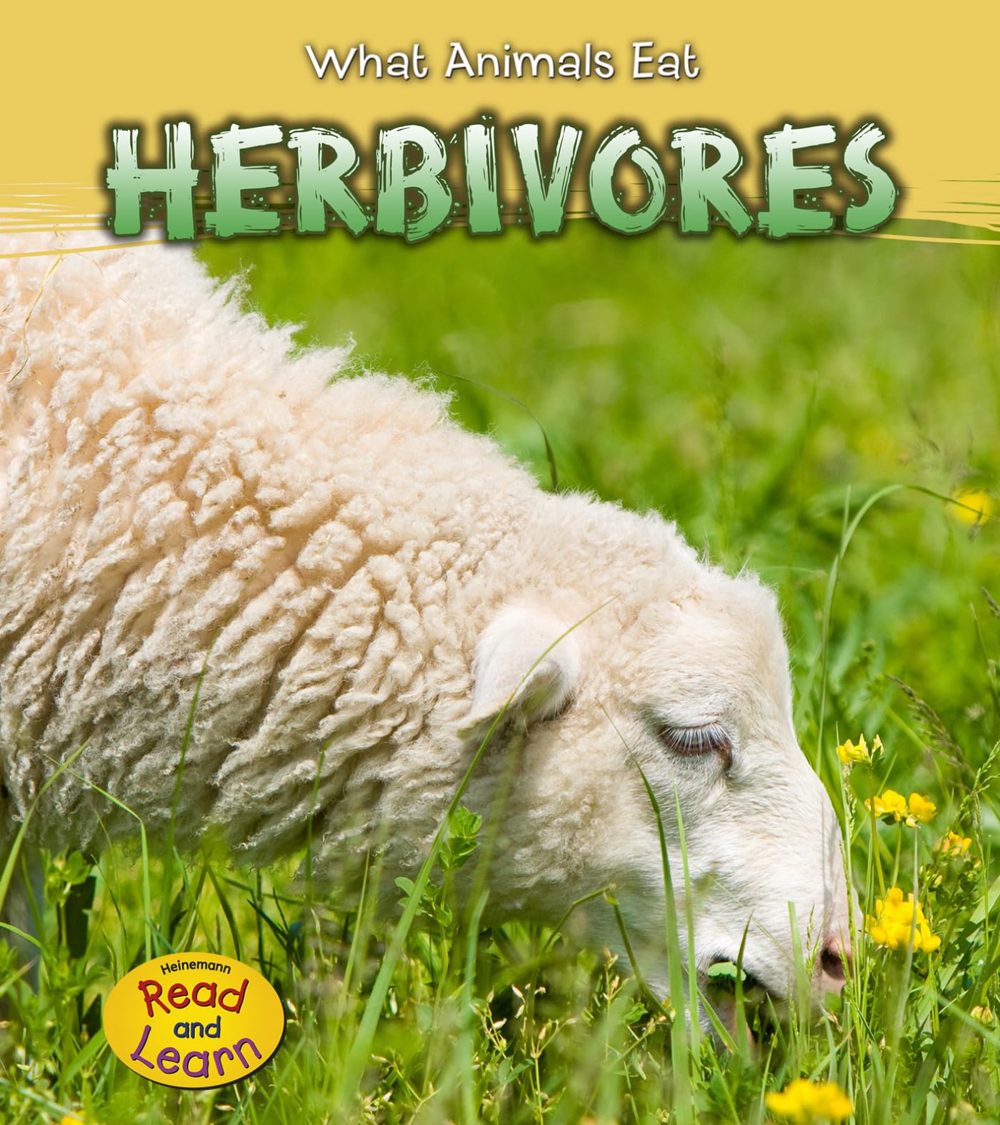 Herbivores (What Animals Eat)