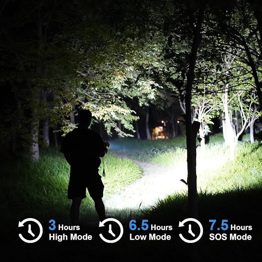 81-RDpvIzYL._AC_UF894,