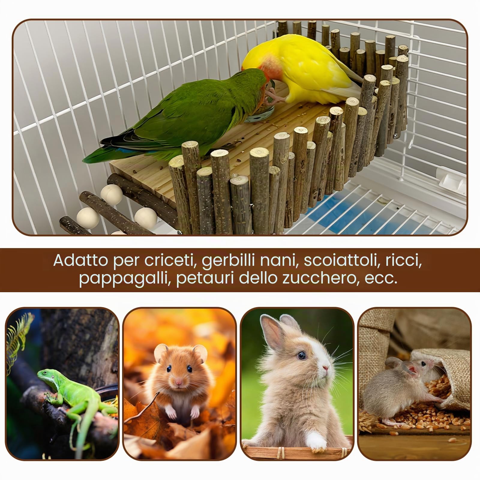 Piattaforma di criceto in legno con scala, robusto parco giochi per animali domestici come criceti, criceti d'oro e topi – Montaggio semplice con viti