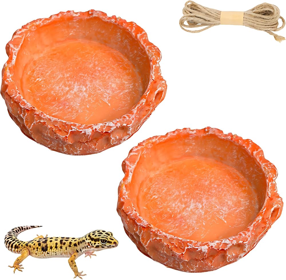 2-Pack Small Reptile Water Dish for Juvenile Bearded Dragon Gecko — 사진 1