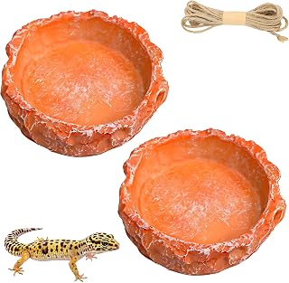 2-Pack Small Reptile Water Dish for Juvenile Bearded Dragon Gecko