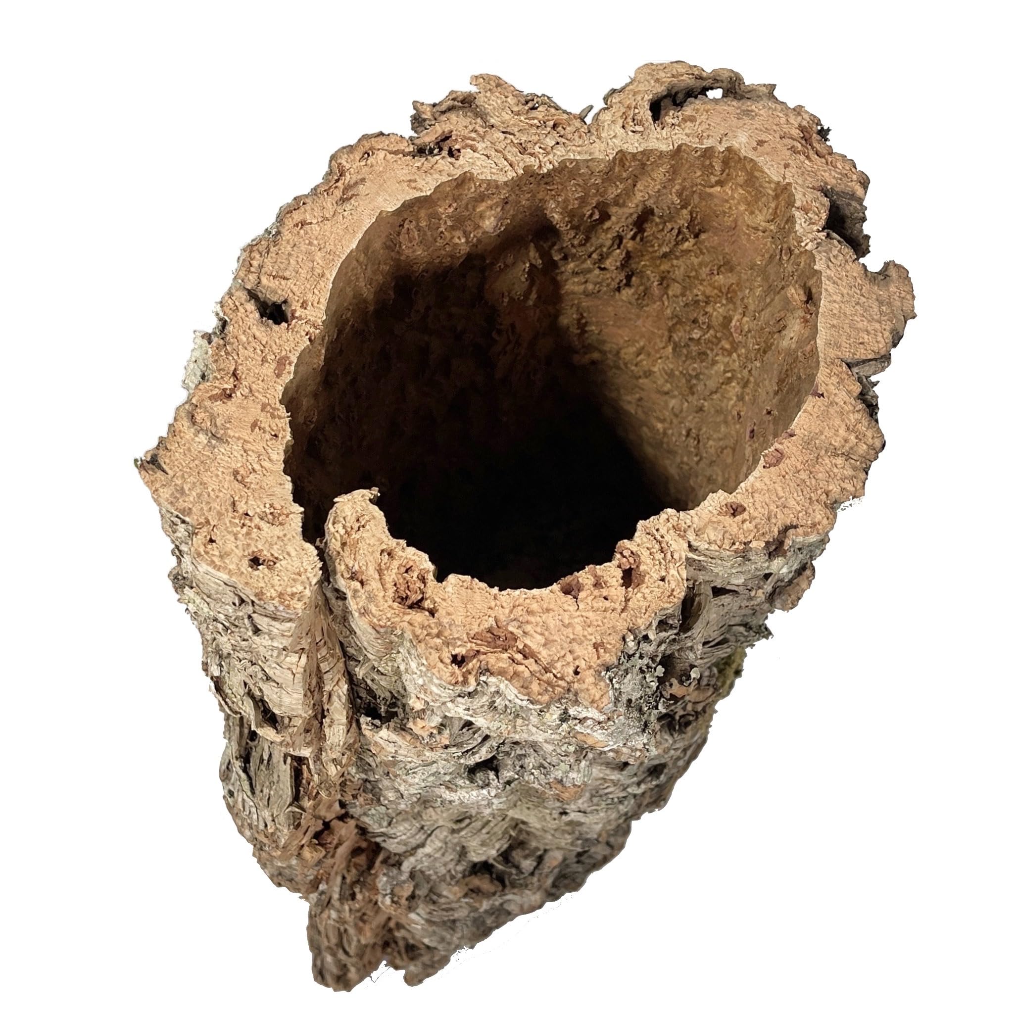 Korkrinde für Terrarien oder als Deko Mind. 40 - max. 70 cm lang; Außendurchmesser: ca. 20-30 cm