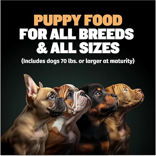 Miniatura 3 de Bully Max Wet Puppy Food - Alimento para perros deshidratado y fresco instantáneo con alto contenido de proteínas con pollo, crecimiento saludable