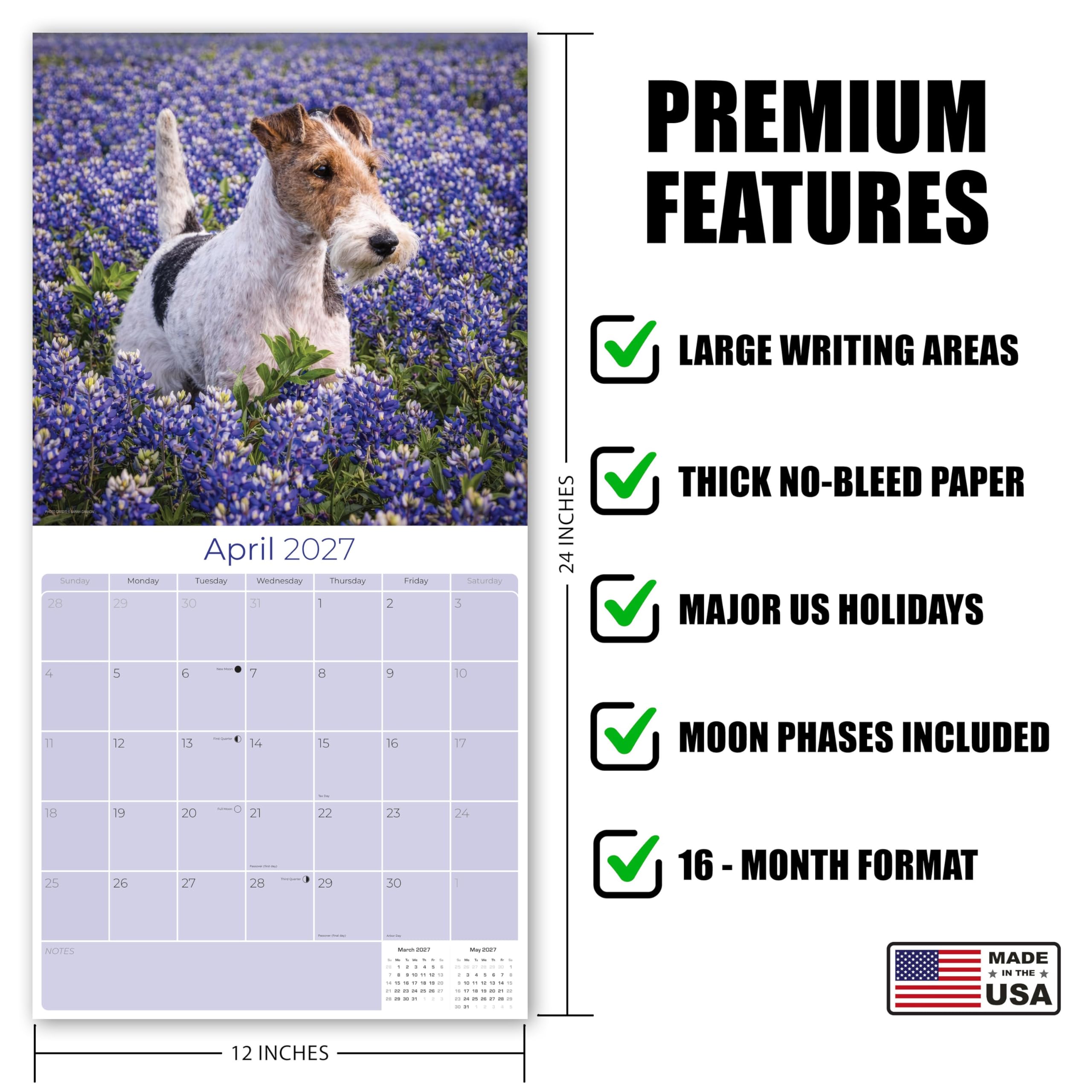 Amazon | Fox Terrier ワイヤーヘアードカレンダー 2026-2027、16か月