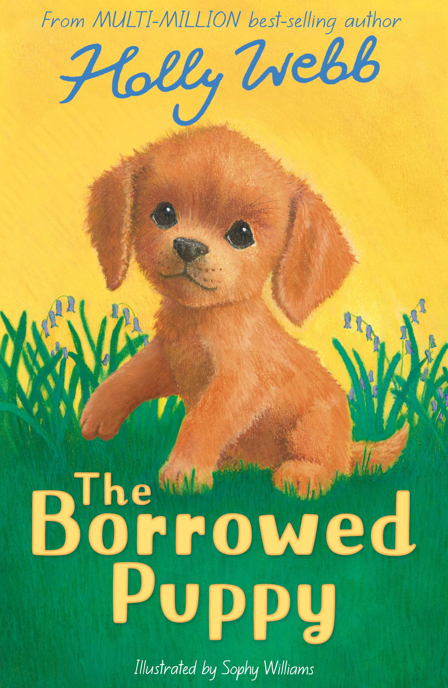 Stripes Publishing The Borrowed Puppy