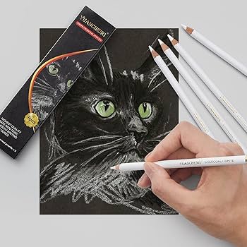Amazon | YUANCHENG ホワイトチャコール鉛筆 描画セット