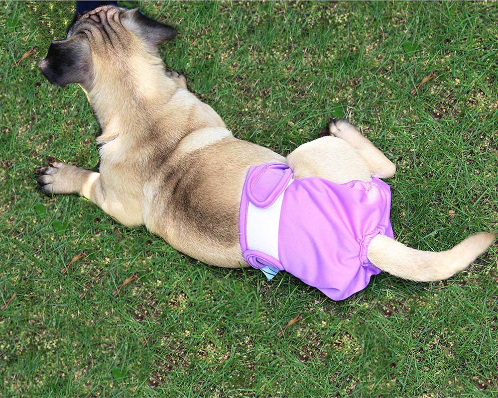 Pannolini per cani lavabili riutilizzabili pantaloni fisiologici gatti piccoli animali maschi femmine mutandine protezione Nappy Periodi Incontinenza Calori Pannolini Boxer Menstruel (L)