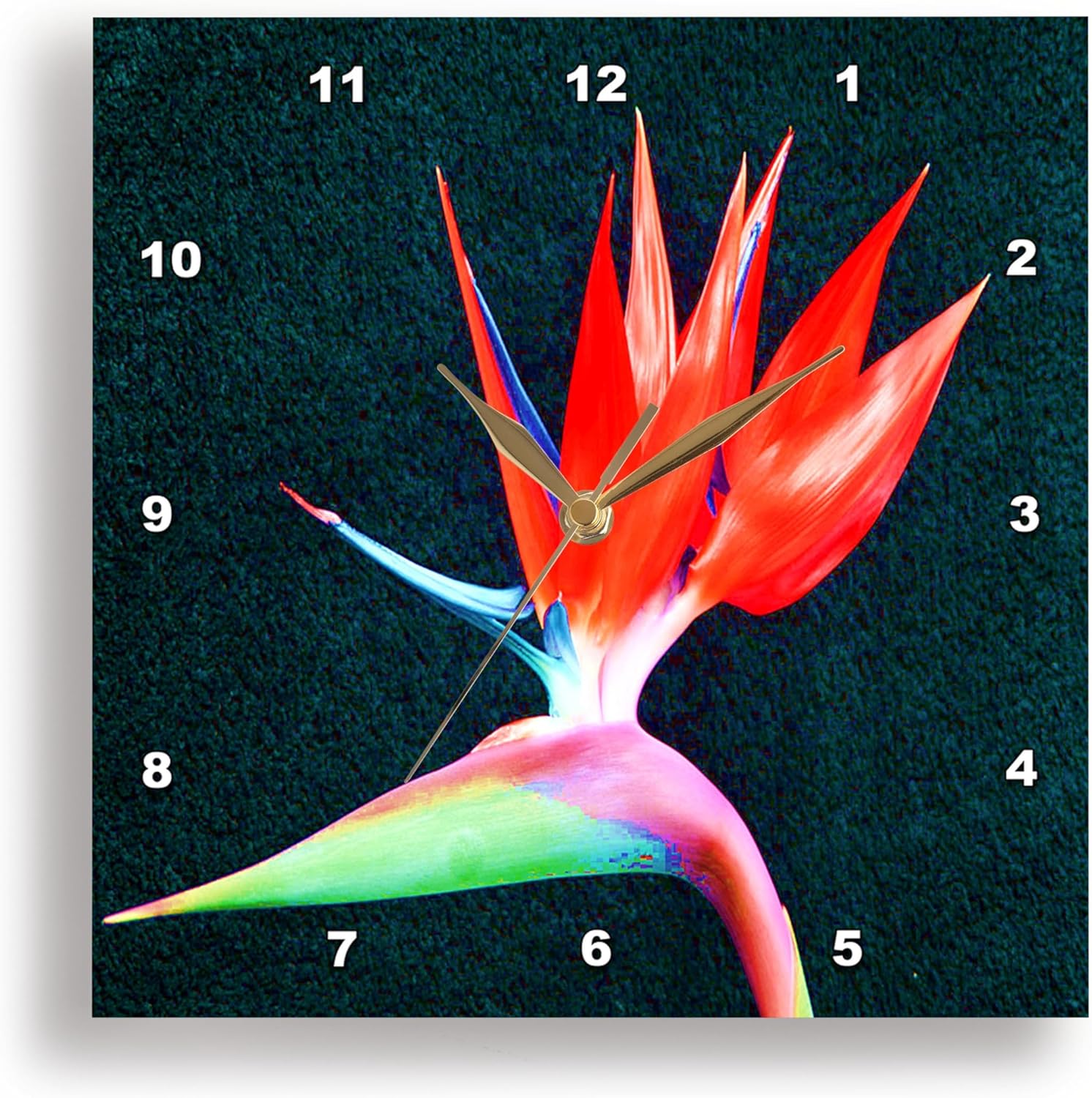 3dRose Red Fire Bird of Paradise - Wall Clock, 10 by 10-Inch (DPP_9355_1)