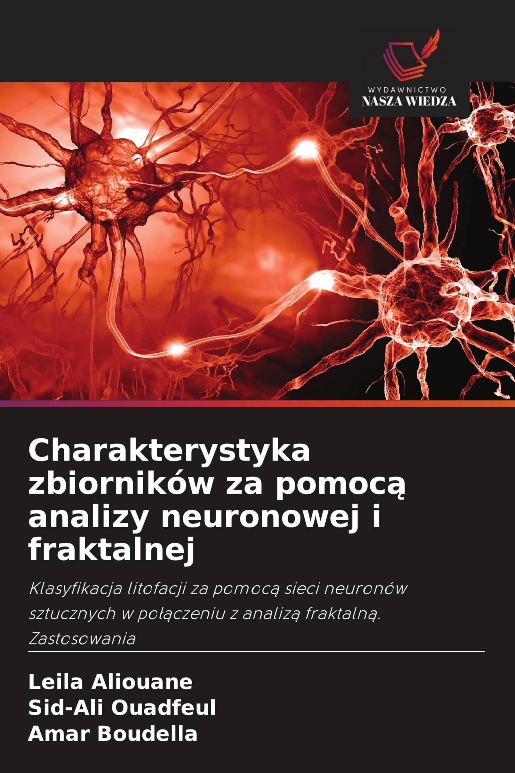 Charakterystyka zbiorników za pomoc¿ analizy neuronowej i fraktalnej: Klasyfikacja litofacji za pomoc¿ sieci neuronów sztucznych w po¿¿czeniu z analiz¿ fraktaln¿. Zastosowania