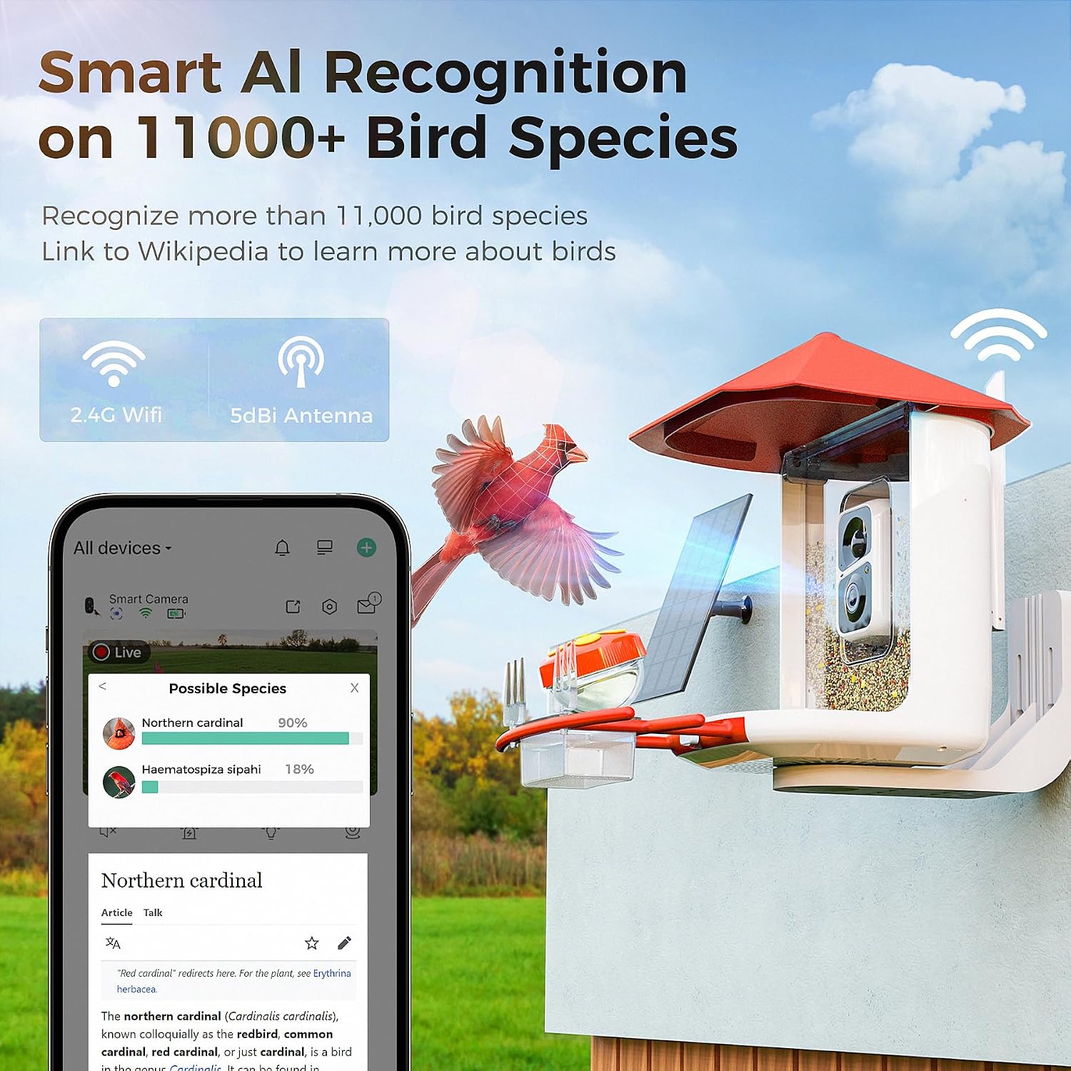 Smartphone screen showing AI recognition of bird species with a Northern Cardinal identified.