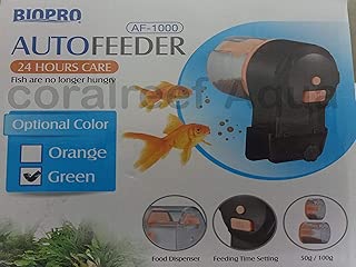 Amazon In Automatic Feeders Pet Supplies