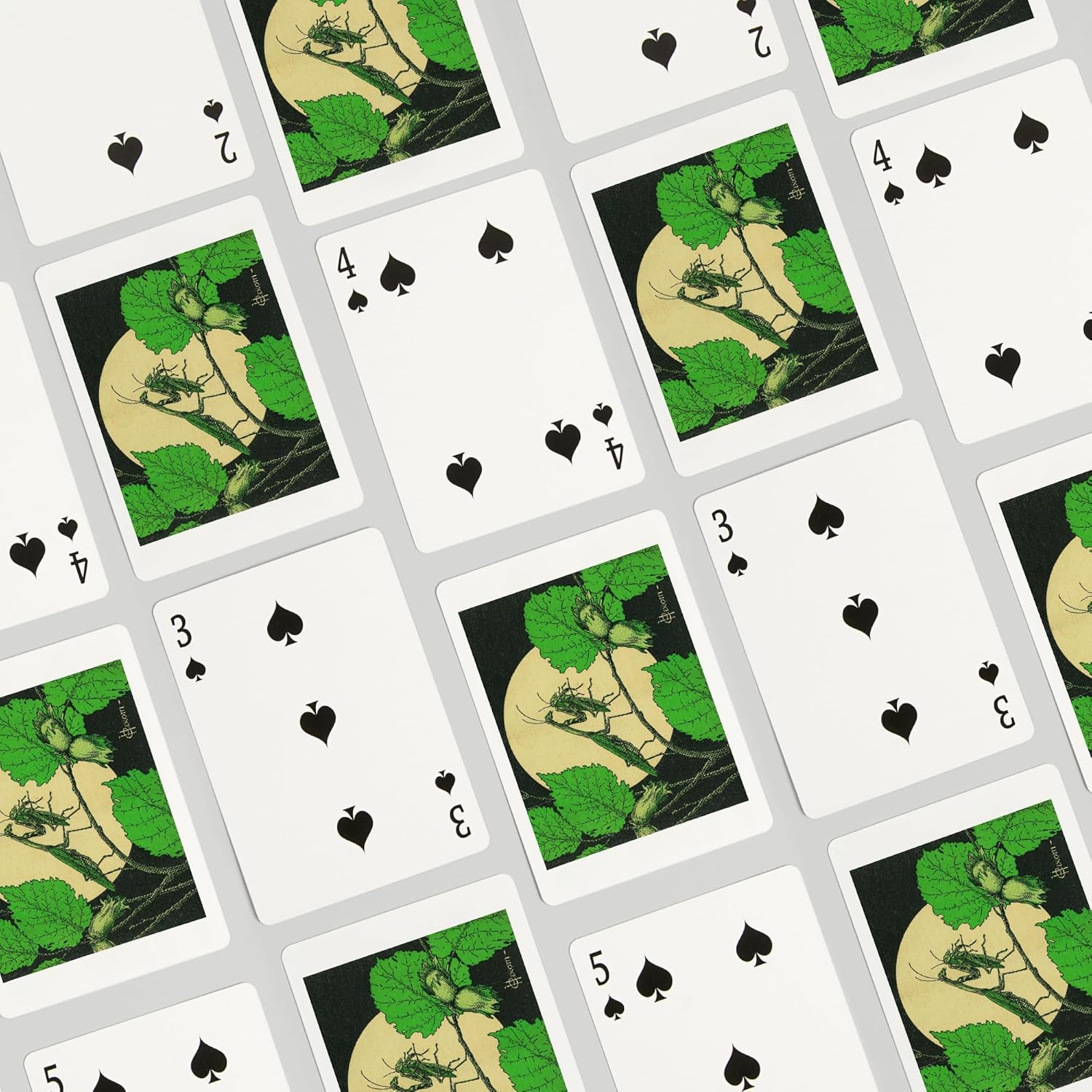 Lantern Press View of a Praying Mantis and a Grasshopper, Vintage Magazine, 52 Playing Cards for Adults, Poker Size Card Deck