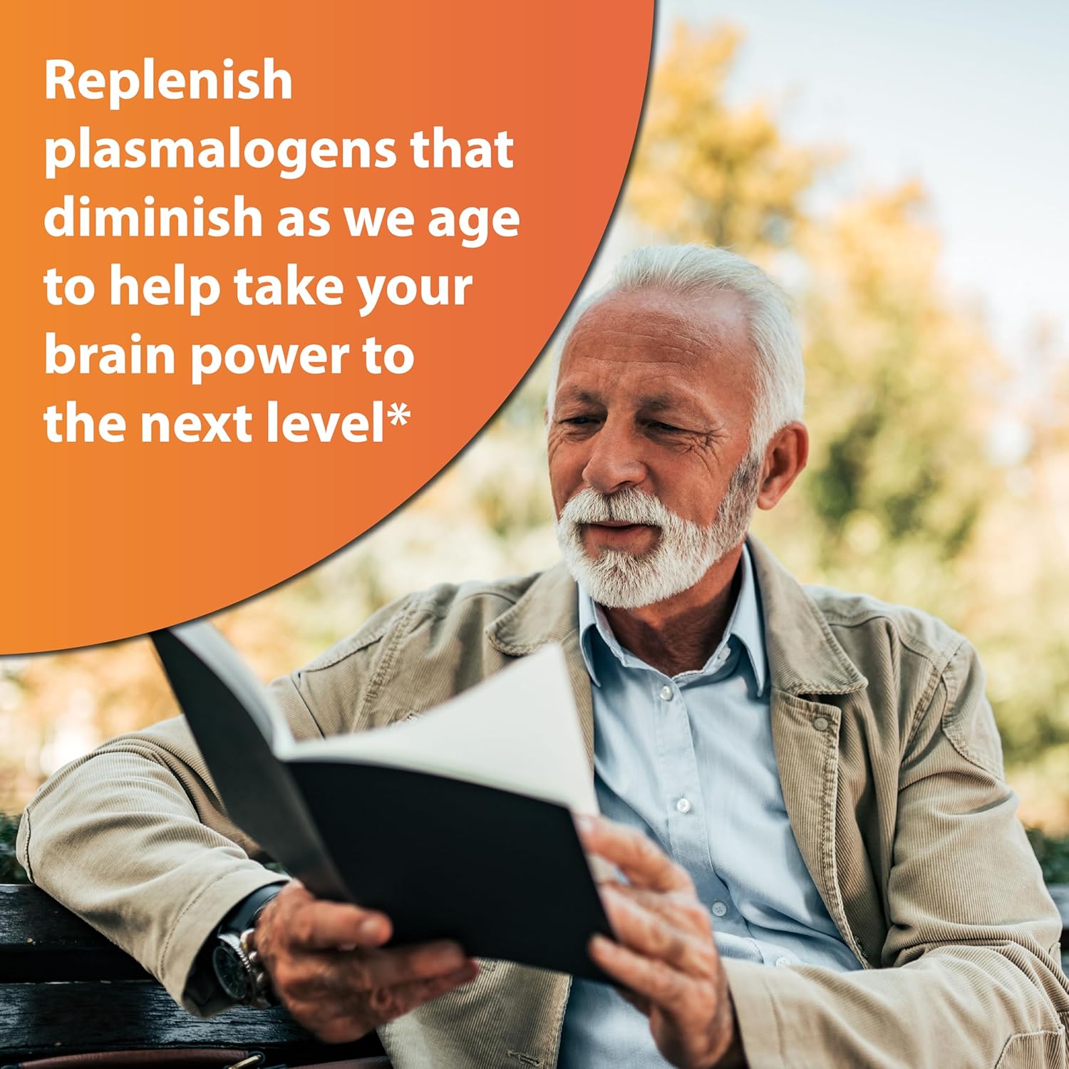 Sun Chlorella Sun Neuro Nootropic Brain Supplement - Daily Memory Concentration & Focus Supplement for Women & Men - Natural Plasmalogen Boost from Sea Pineapples - 180 Capsules