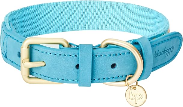 Blueberry Pet 3 Patterns Southwestern Magical Tribal Print Genuine Leather & Polyester Fabric Combo Dog Collar with Metal Buckle - Celeste Blue, Medium, Neck 15"-18"