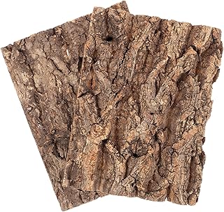 NUSITOU 2 Pçs Decoração De Casca De Vidro Animais Lagarto Tanque Acessórios Decoração De Tanque Esconderijos De Réptil Esconderijo De Lagarto Terrário Casca De Cortiça Casca De Café