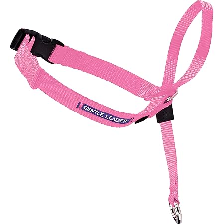 petsafe harness amazon