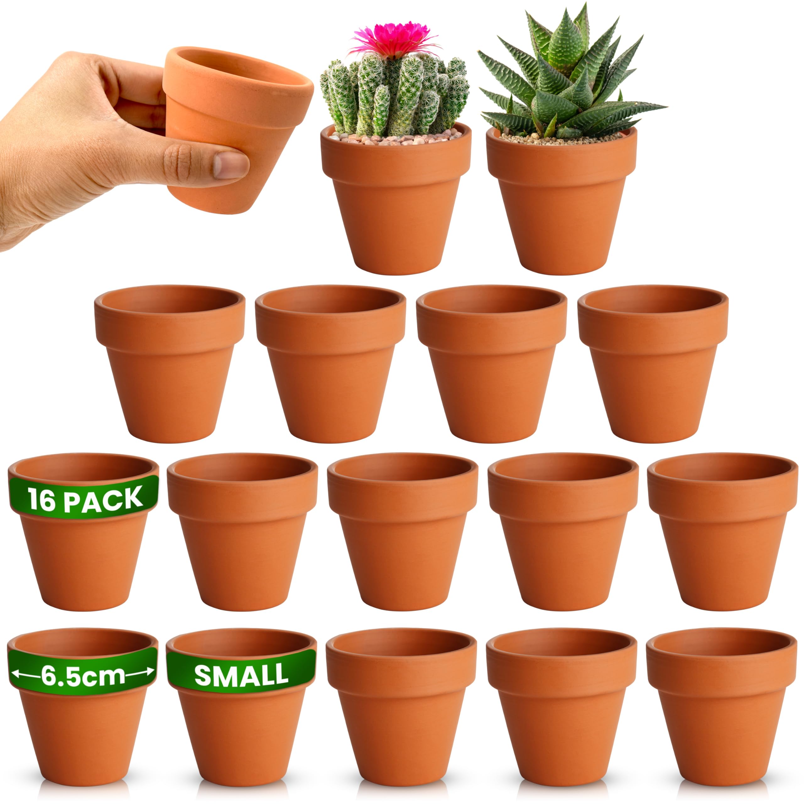 Green Thumbz Terracotta Plant Pots - 6.5cm x 16 Pack Small Terracotta ...
