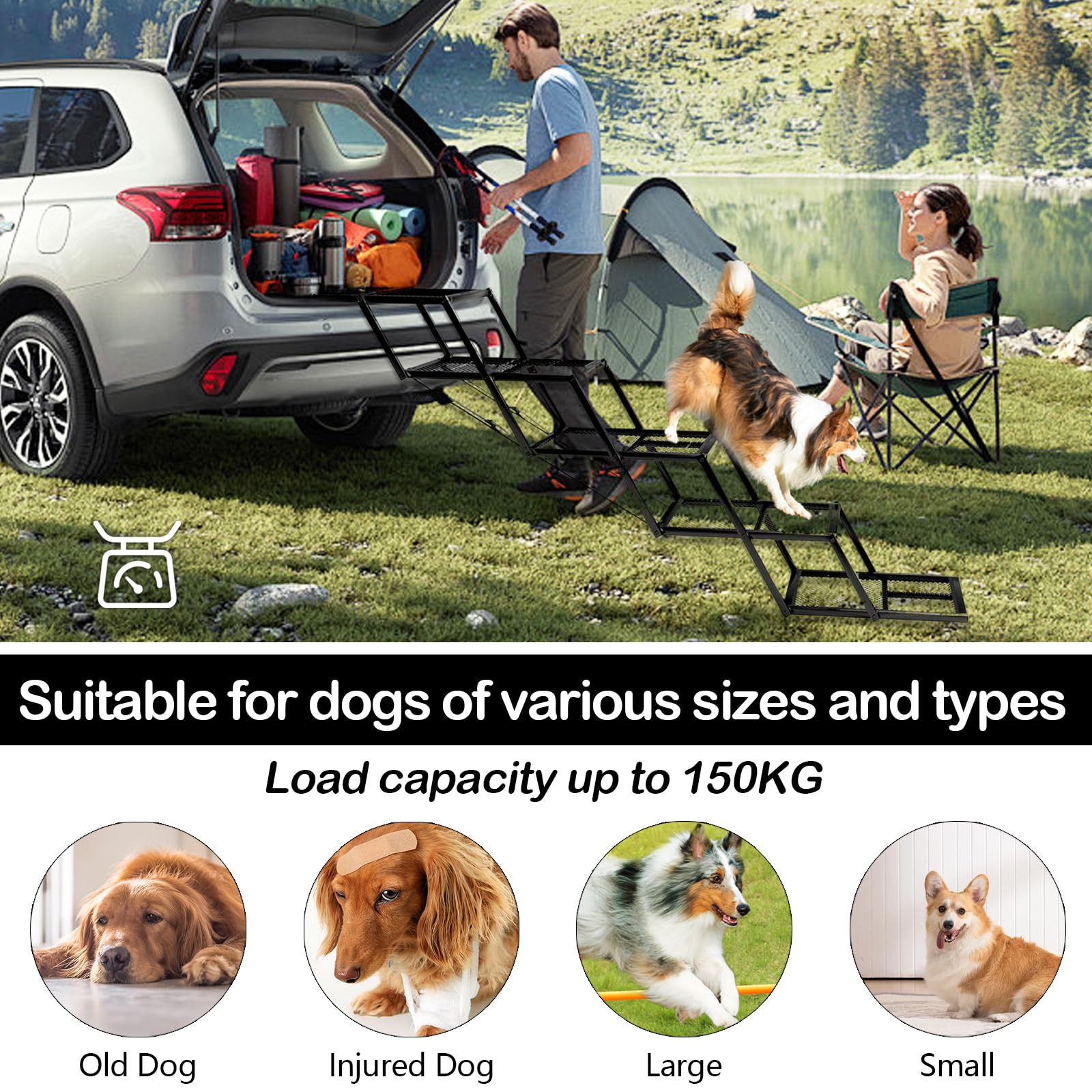 5-Stufen Hundetreppe Auto - Klappbar, Bis 100kg, Höhenverstellbar 44-72cm