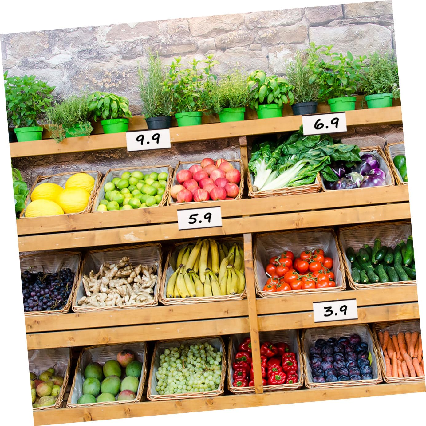 YARNOW Porta Etichette Magnetico da 50 Pezzi 50x25 Mm Clip per Cartellini Prezzi, Supporto Magnetico per Etichette da Magazzino, Display per Supermercati e Negozi, Facile Sostituzione