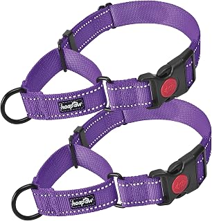 Haapaw Escape-Proof Martingale Dog Collar, Purple, Medium | Secure Snap-Lock Buckle, Reflective Nylon Webbing for Night Visibility, Collar & Leash Set or 2-Pack