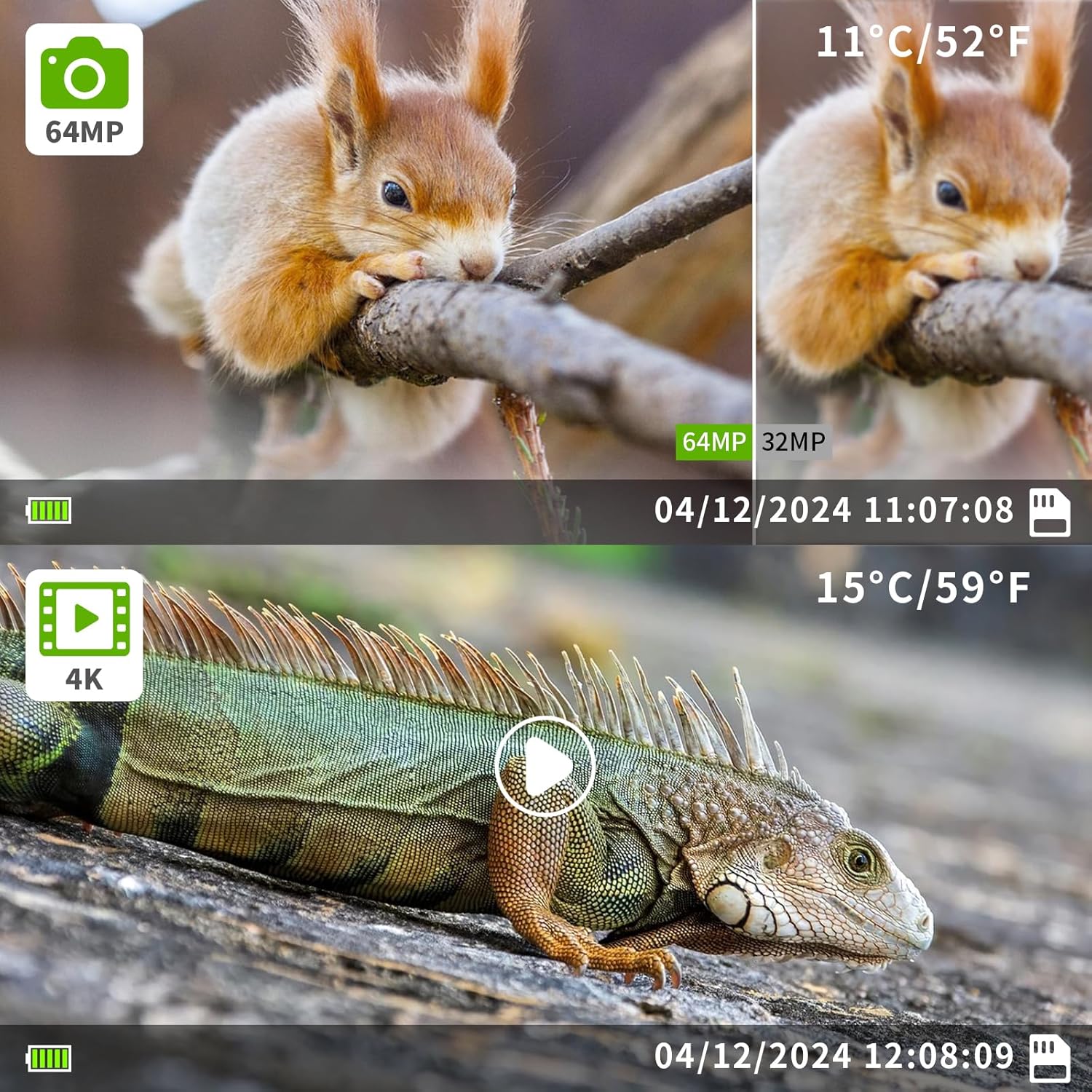 Examples of 64MP photo and 4K video captured by the Folgtek A106W Trail Camera