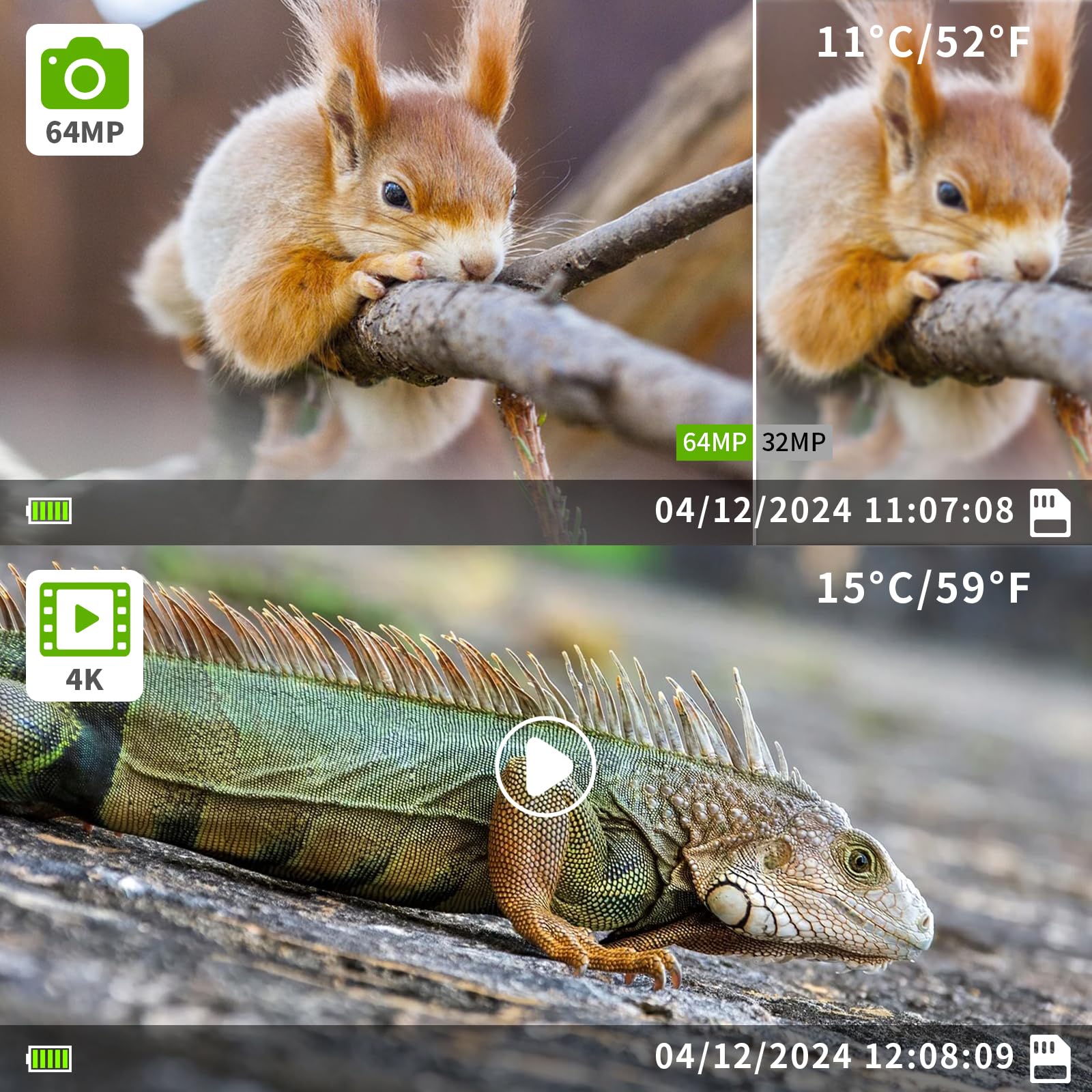 Caméra de Chasse Wi-FI 4K 64MP avec Vision Nocturne Détecteur de Mouvement pour la Chasse, L'observation de la Nature