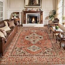 Tangsoo Boho 6x9 Washable Area Rugs for Living Room, Oriental Vintage Indoor Non Slip Large Area Rugs, Print Terracotta Carpet, Soft Low Pile Rug Foldable Floor Rugs for Bedroom Dining Room Home Decor