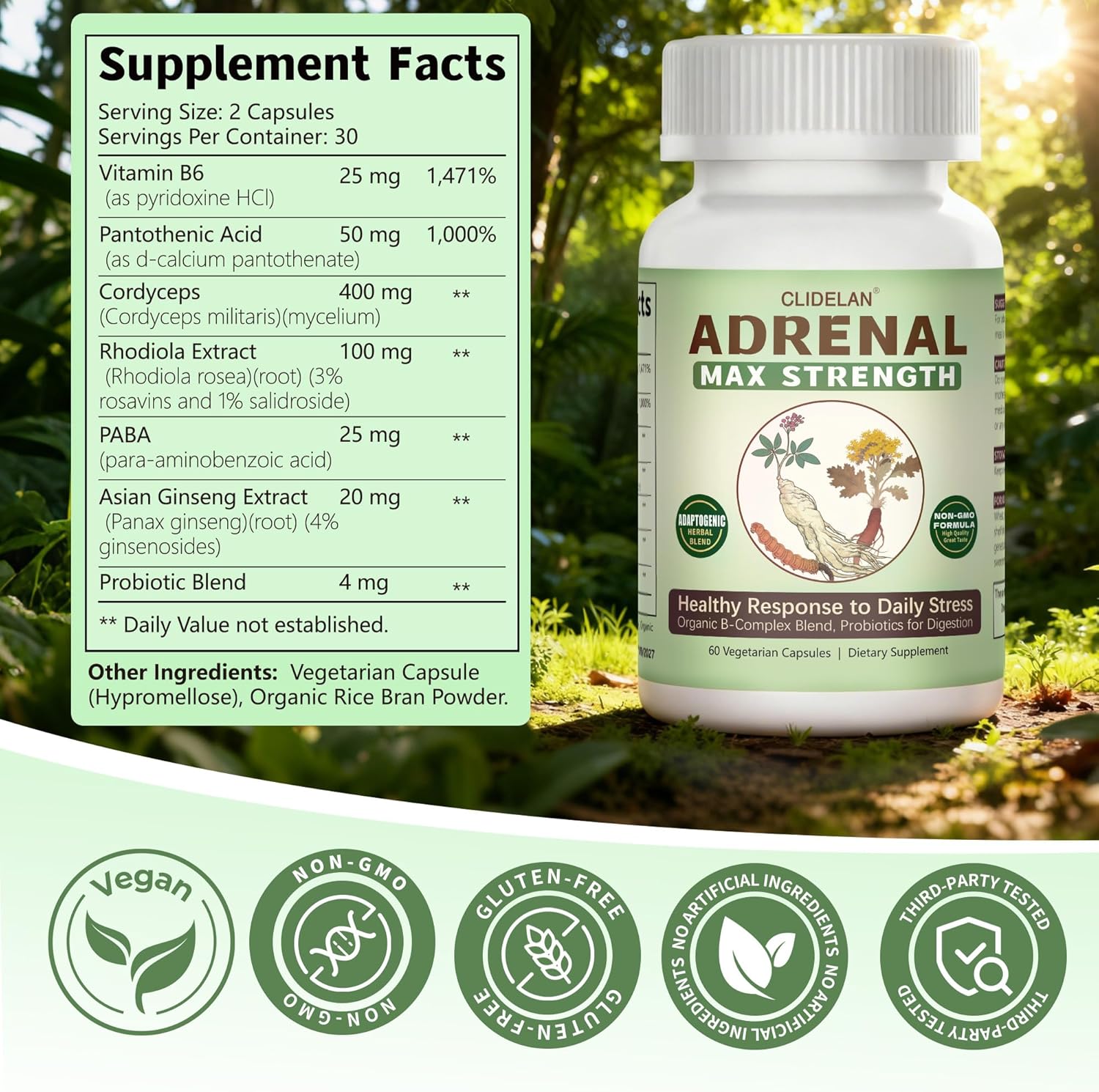 Adrenal Support Supplements for Daily Balance – Supports Stress Relief with Adaptogens Herbs (Rhodiola, Ginseng, Cordyceps), Organic B-Complex & Probiotics for Stress, Fatigue & Energy, 60 Capsules - Image 7