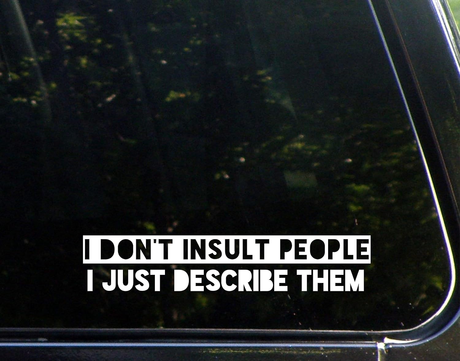 I Don't Insult People I Just Describe Them (83/4" X 11/2