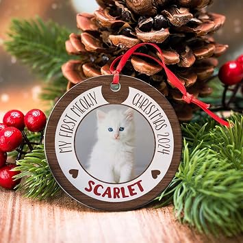 Personalized Cat First Christmas Ornament | Cat Photo Ornament | Cat Picture Ceramic Ornament | Cat First Christmas Caramic Ornament | Gift for Pet Lovers | Cat Christmas Decor