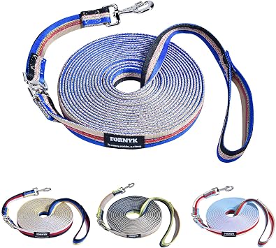 Training Leash for Horse & Dog, Equine Lunge Line with Alloy Trigger Buckle and Dual Swivel Snaps for Equestrian Training, Competition and Daily Use, 26ft/8m Gray-Red-Blue