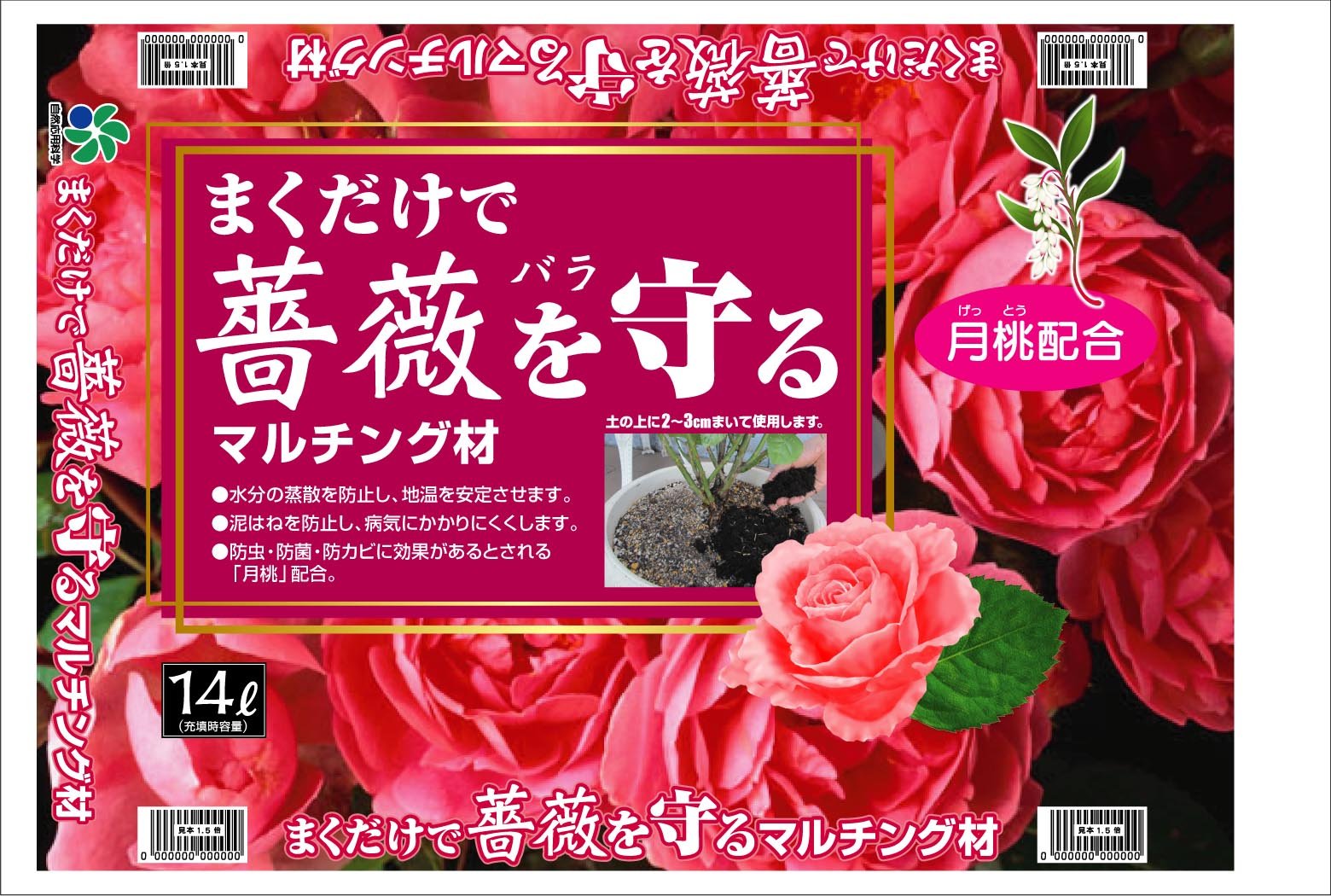 Pink Rose ピンク 薔薇 一点物 インテリア F4 33.3x24.2 薔薇 Rose