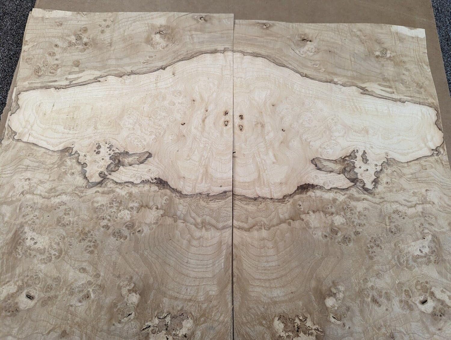 Olive Ash Burl Wood Veneer 11" x 18" with no Backing raw Veneer 1/42" Thickness