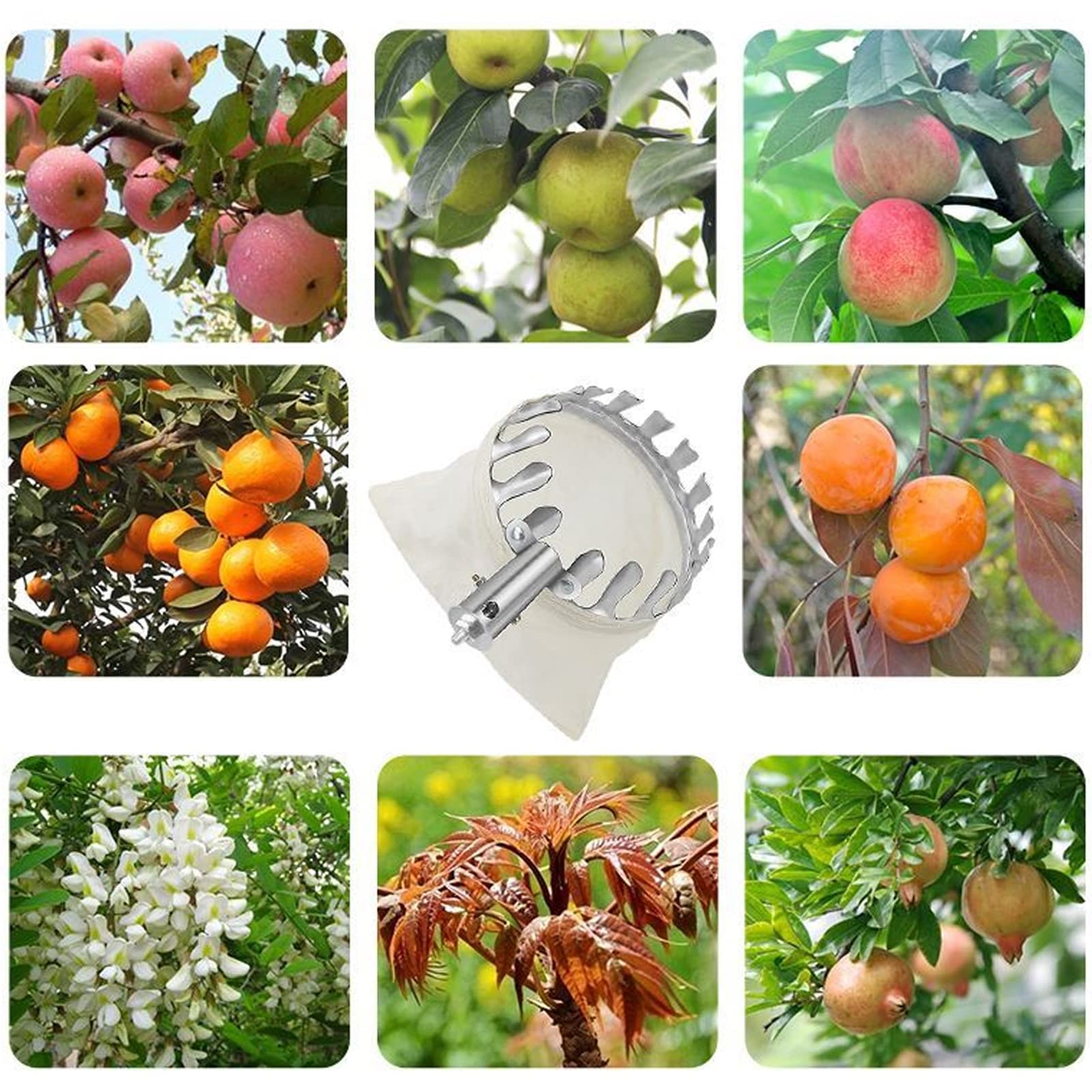 A,6.8 ft, Raccogli Frutta Telescopico, Raccogli Frutta Regolabile in Altezza con Palo Acciaio Inox e Borsa Strumenti di Raccolta all'aperto per Limoni, Mele,manghi Arance