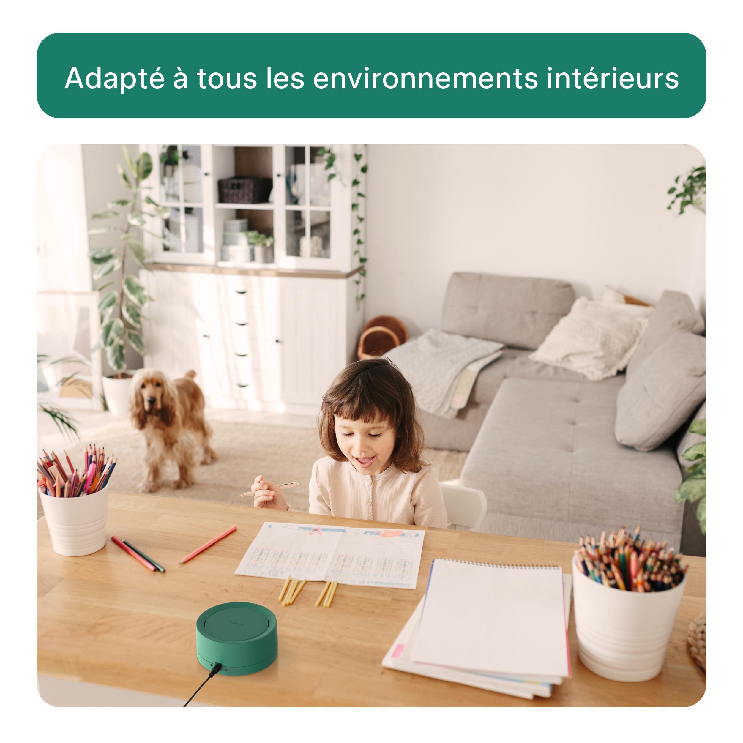 Radoff Now: mesure CO2, COV, PM, température et humidité - Wi-Fi