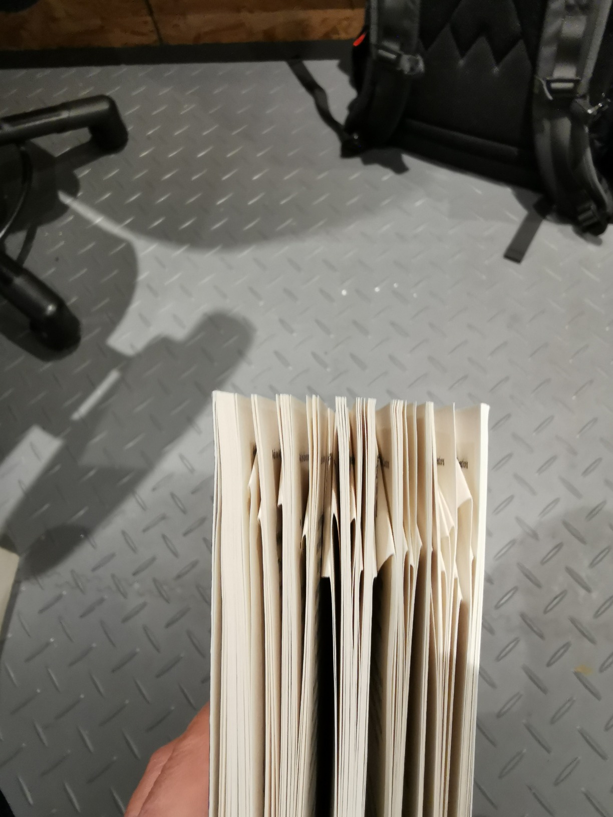 and The Adventure is your Own Life