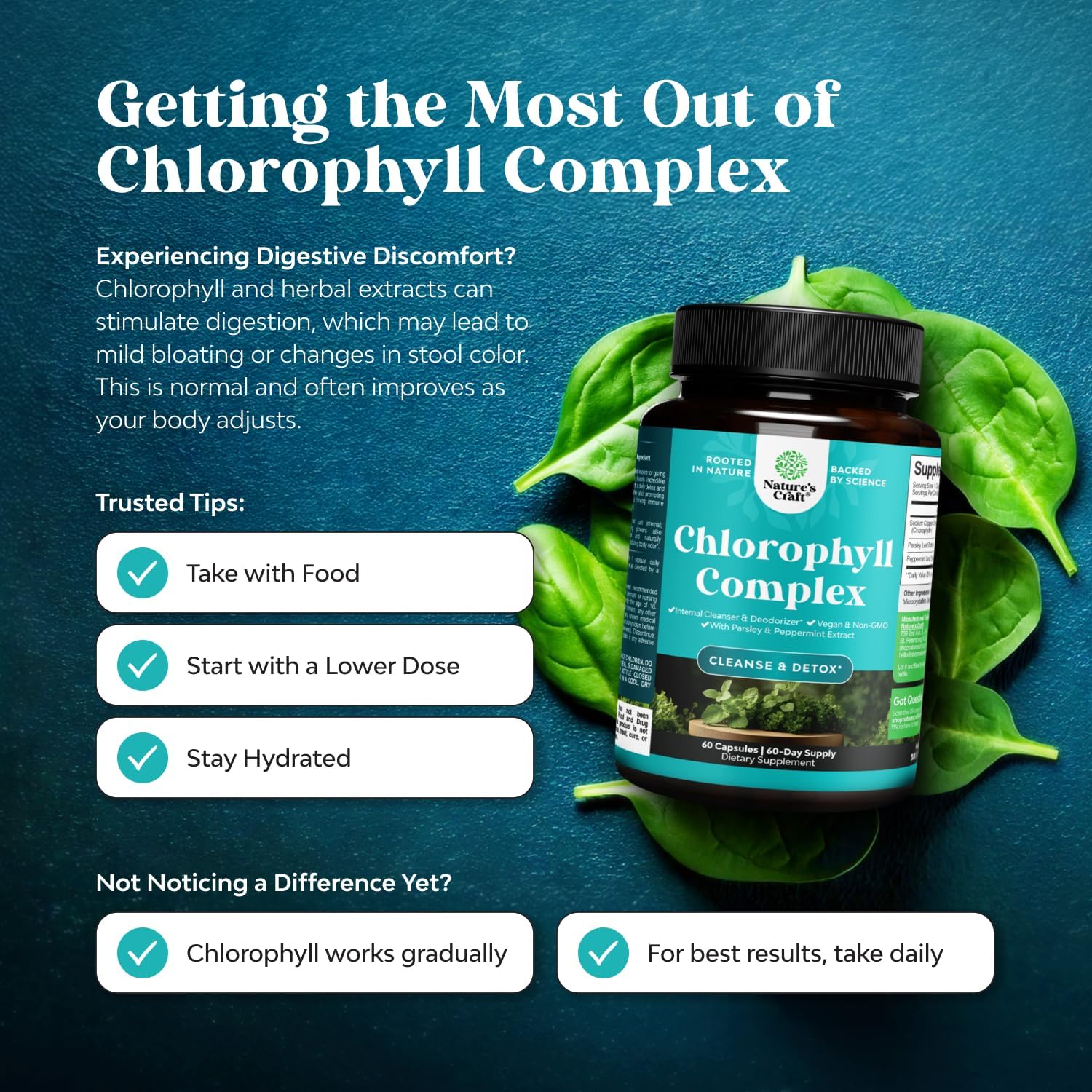 Chlorophyll Complex Capsules Internal Deodrant Pills- 60 Count — Amazon image 2