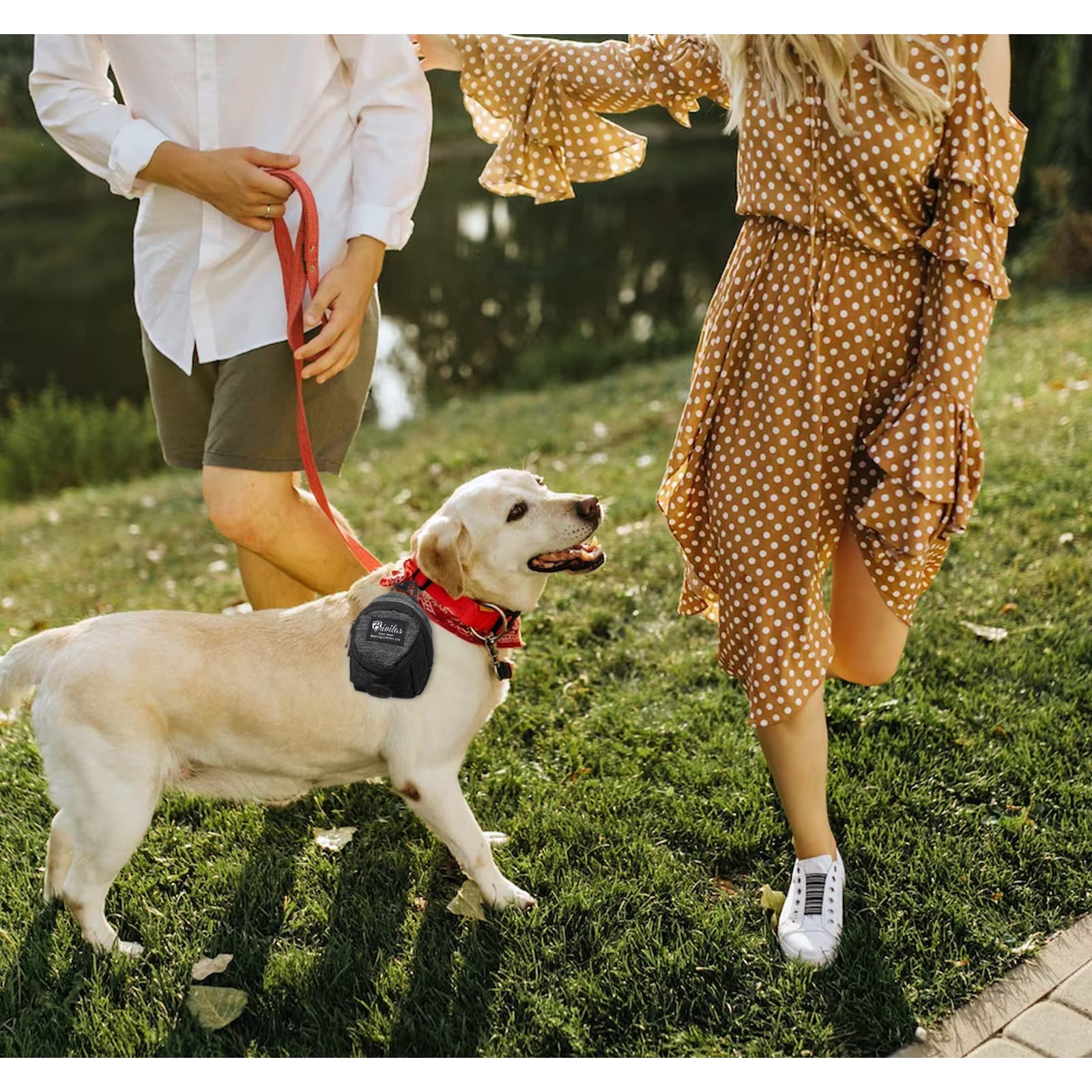 FuninCrea Borsa per Cibo per Cani, Borsa Addestramento Cani con Dispenser per Cacca Integrato per Passeggiate in Tessuto OxfordBorsa Addestramento Cane Allenamento all'aperto (Nero)
