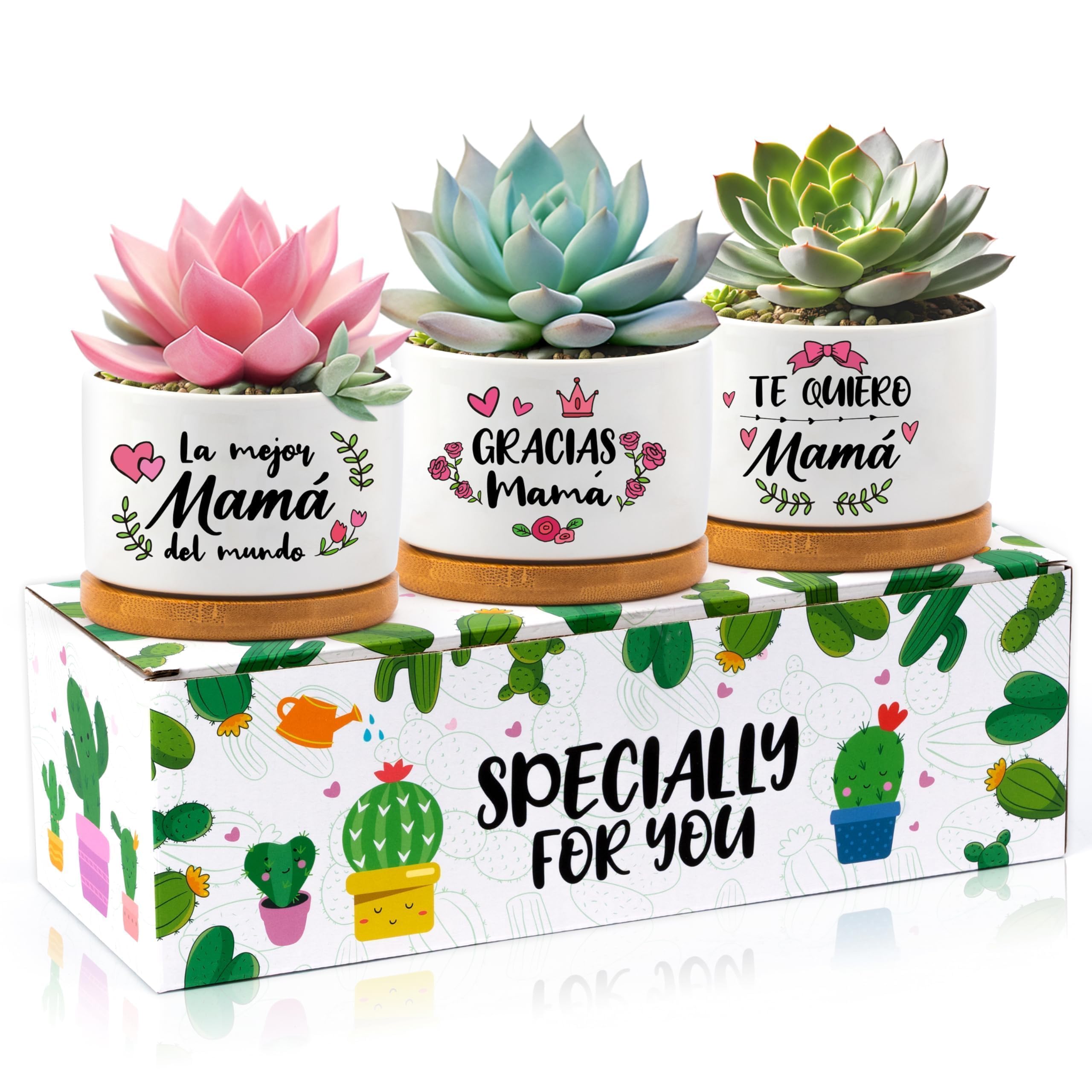 Regalos para mamá: 3 macetas de cerámica con bandeja de bambú para suegra, esposa, decoración de oficina en casa, regalo de jardinería de cumpleaños, no incluye plantas