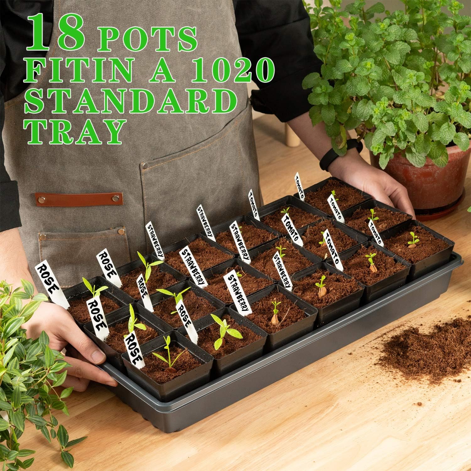 June Fox Square Nursery Pots 3.3 Inches Flexible Plastic Seedling Pots Square Pots for Plants, Succulent, Flower, Pack of 60, with 60 PCS Plant Labels - Image 4