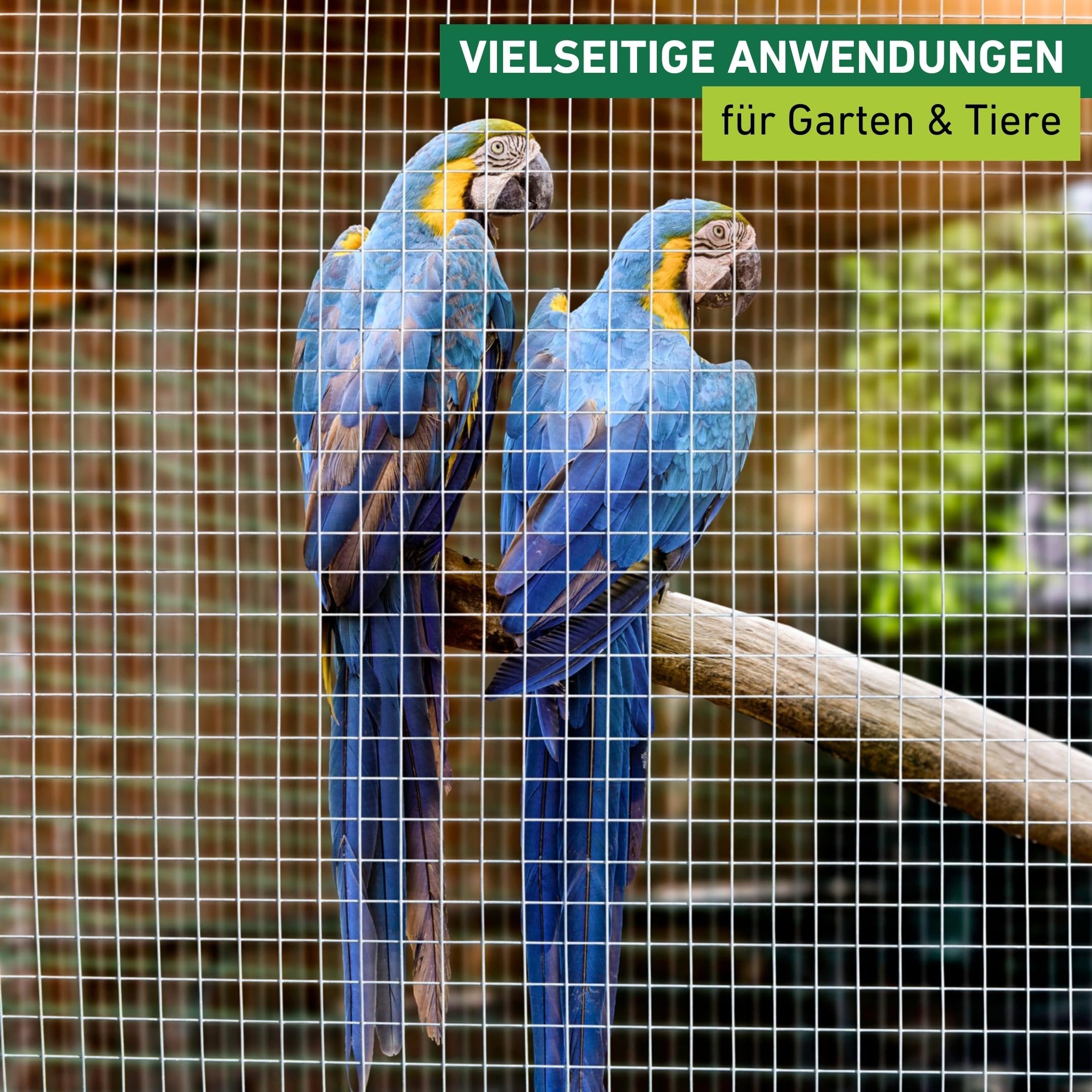 Windhager Drahtgitter verzinkt, Volierendraht für Hasen, Meerschweinchen oder Hühner, Maschendraht, 5 x 1 m, Maschenweite 12,7 mm