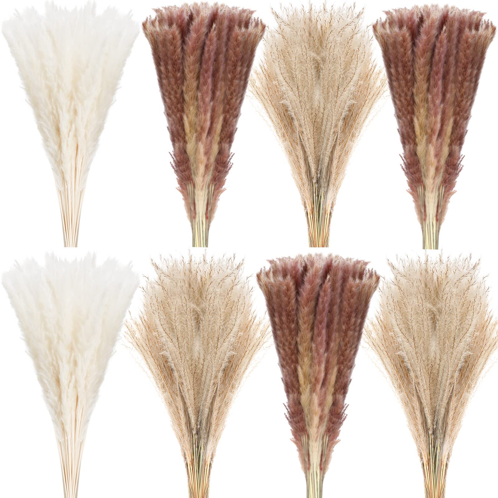 500 Pcs Dried Pampas Grass Decor, 17 Inch Dried Flower Plants bulk white and brown Pampas Grass Reed Bunny Tails Bouquet for Wedding Boho Table Decor Rustic Farmhouse Party decoration
