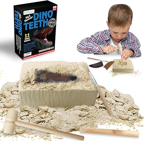 ArtCreativity Dino Teeth Dig and Discover Kit de excavación para niños, incluye Alberlosaurus y Carcharodolosaurus Toy Fossil Dientes con 2