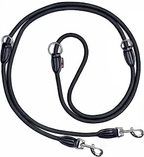 Verstellbare Hundeleine 3 Meter | Robuste Nylon Umhängeleine für mittelgroße bis große Hunde | Führleine mit 200kg Zugkraft | Doppelleine mit 2 Karabiner (Schwarz)