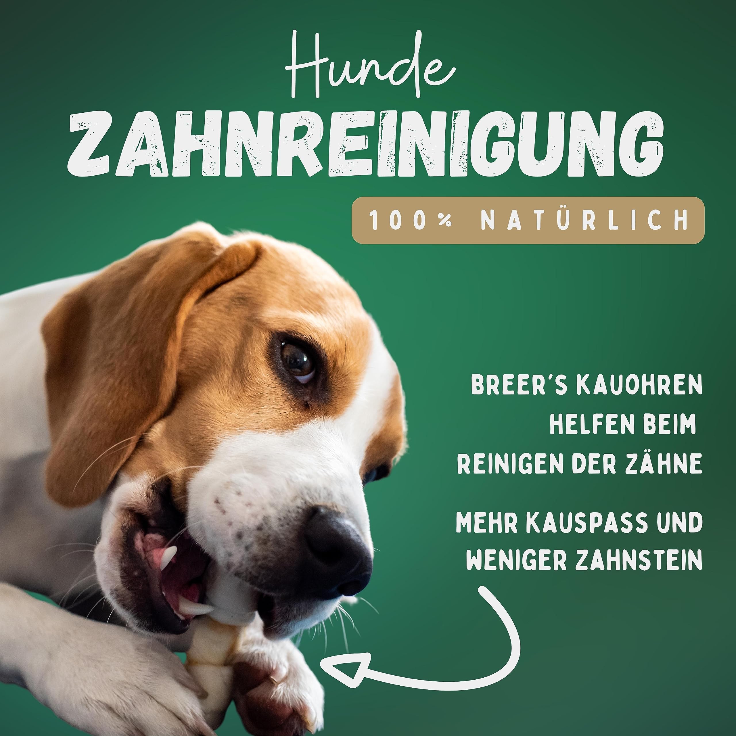 BREERs Getrocknete Schweineohren für Hunde 2 Kg Kauartikel aus Schwein, Hundeleckerli getreidefrei, Kausnack, Leckerli Hund, eigene deutsche Herstellung