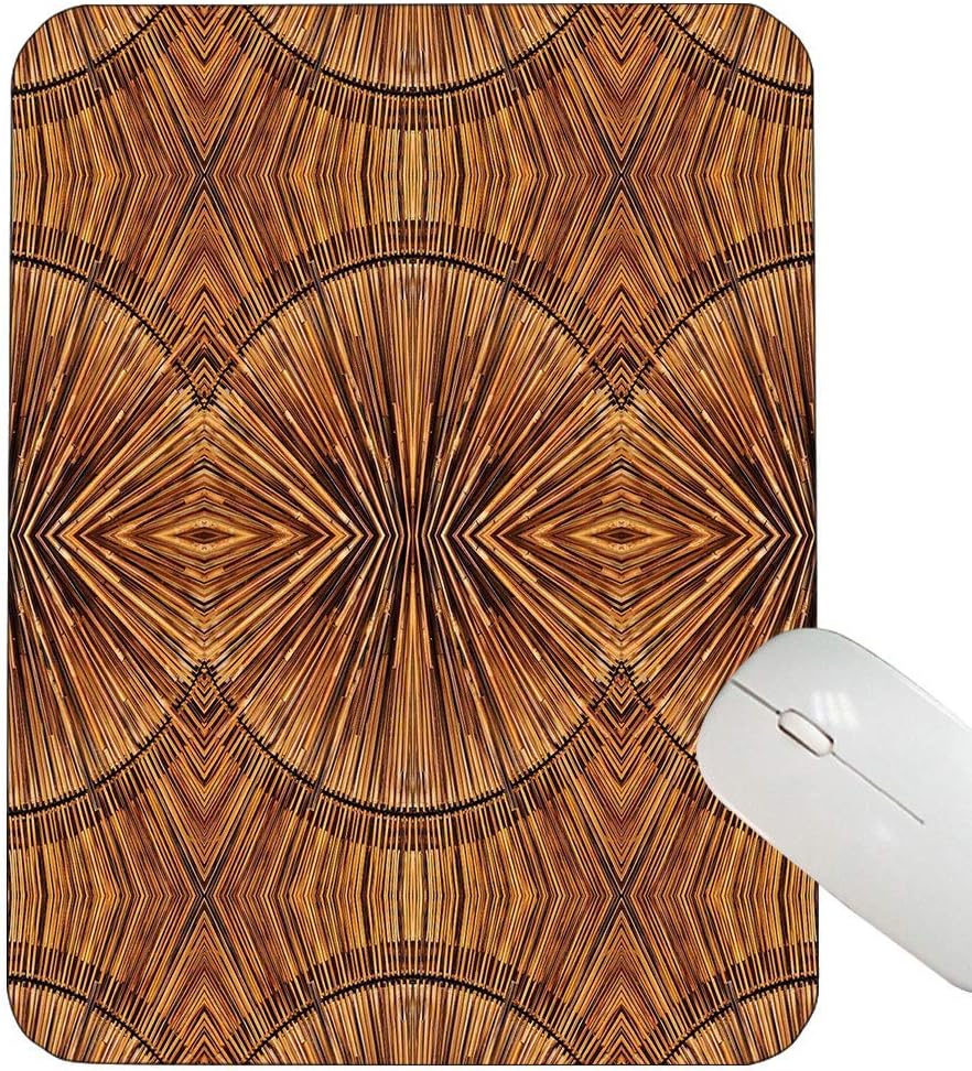 stilo in bambù per cv