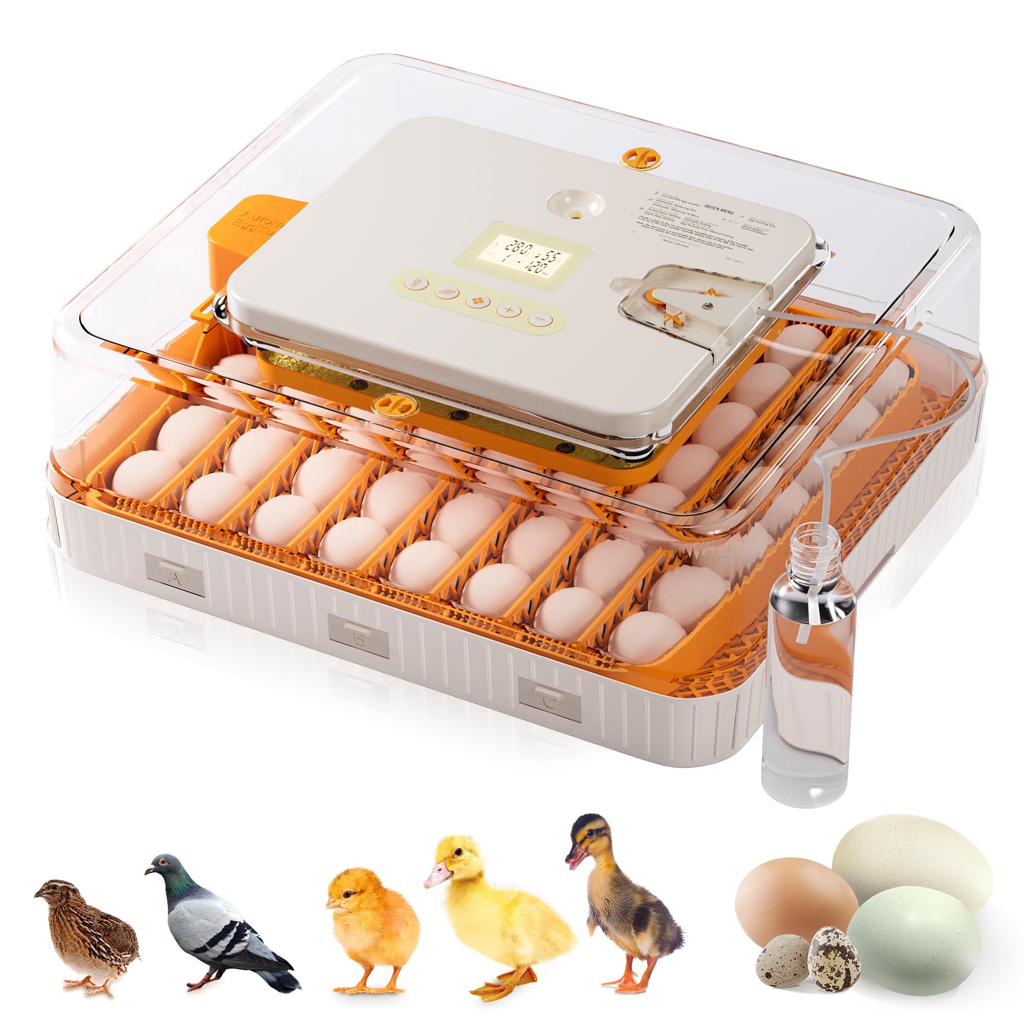 Incubadora de 56 huevos con giro automático de huevos y control de humedad, visualización de 360°, bandejas de huevos de doble tamaño para pollo, pato, ganso, pavo, codorniz y huevos de loro