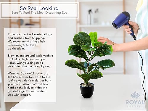 Miniatura 5 de Royal Imports Planta artificial de hoja de violín, árbol de higuera artificial de ficus, verde oscuro en maceta decorativa, 21 pulgadas de alto
