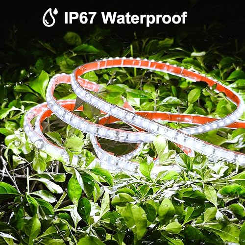 Miniatura 5 de echosari Tira de luces LED de 65.6 pies, tira de luces ultra brillantes de 6000 K con temporizador regulable, 2400 luces LED de cinta flexible para